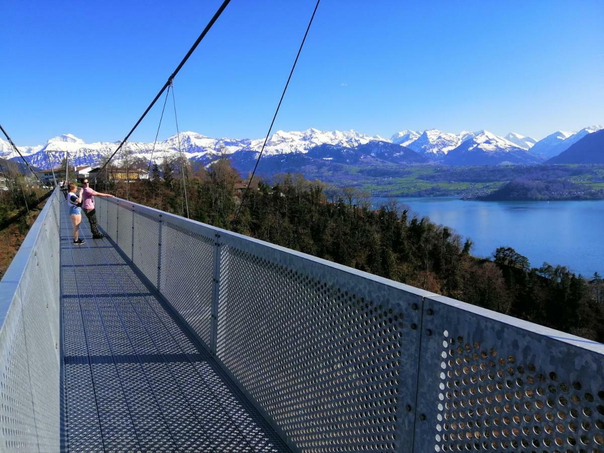 Appartement Niesenblick Aeschlen