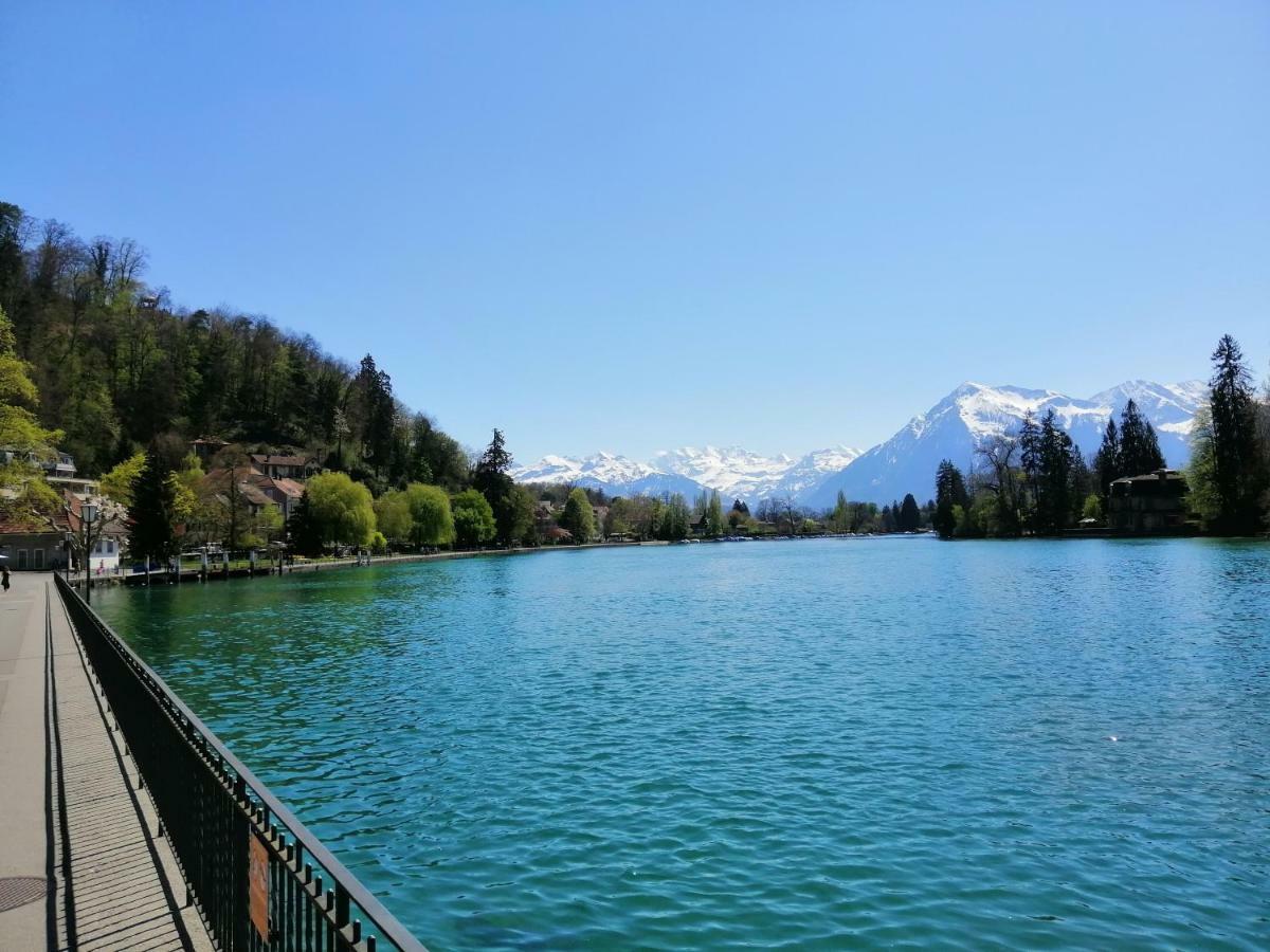 Niesenblick Appartement